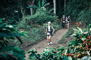 BIB: 
                            <button type="button" onclick="openModal(25797140)" class="btn btn-primary btn-sm float-right btn-popup" data-toggle="modal" data-target=".modal-high-quality">
                        <i class="fas fa-shopping-cart"></i> Add to Cart
                    </button>
                                            <button type="button" onclick="isThisMe(25797140, true)" class="btn btn-success btn-sm float-right btn-popup btn-isme hidden" data-toggle="tooltip" data-placement="bottom" title="นี่คือรูปของคุณใช่ไหม คลิกที่นี่เพื่อเอาเข้าอัลบั้ม">
                        <i class="fas fa-plus"></i> Add to album
                    </button>
                    <button type="button" onclick="isThisMe(25797140, false)" class="btn btn-warning btn-sm float-right btn-popup btn-isnotme hidden">
                        <i class="fas fa-ban"></i> Remove from album
                    </button>